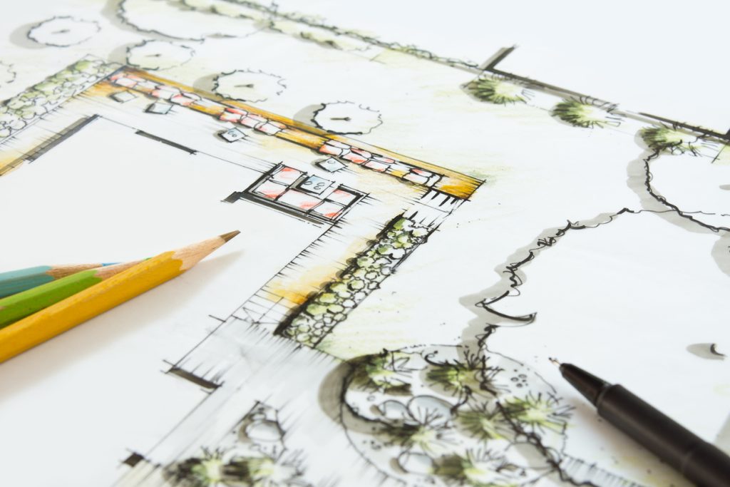 Landscape blueprint Drawing